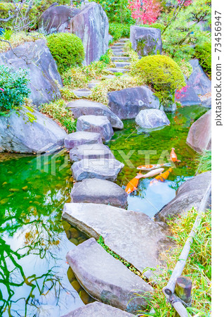 美次郎花園的風景 美次郎花園的風景 73456947