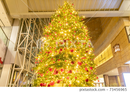 Christmas tree in the building (Roppongi Hills) Christmas tree in the building (Roppongi Hills) 73456965