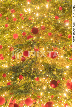 Christmas image (up of Christmas tree) Christmas image (up of Christmas tree) 73456966