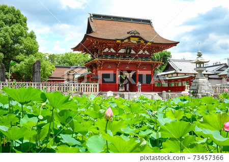 Hass of Iga Hachimangu Shrine <Okazaki City, Aichi Prefecture> 73457366