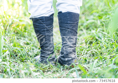 Agricultural work wearing black socks 73457618