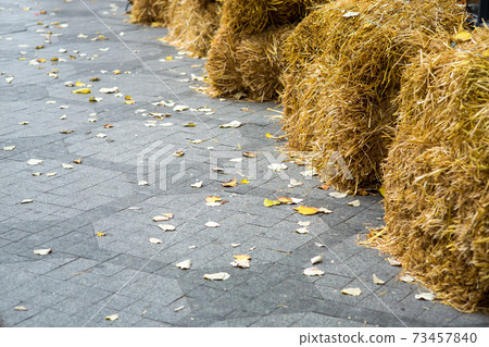 A pedestrian sidewalk of tile paved with a pattern covered with yellow autumn leaves and complex square sheaves of hay with space for text. A pedestrian sidewalk of tile paved with a pattern covered with yellow autumn leaves and complex square sheaves of hay with space for text. 73457840