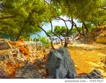Calanque between Marseille and Cassis, Provence, France Calanque between Marseille and Cassis, Provence, France 73457927