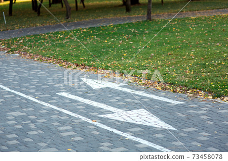 Bike pavement with markings and arrows in a park area for relaxing with green grass lawns and yellow autumn leaves, empty nobody. Bike pavement with markings and arrows in a park area for relaxing with green grass lawns and yellow autumn leaves, empty nobody. 73458078