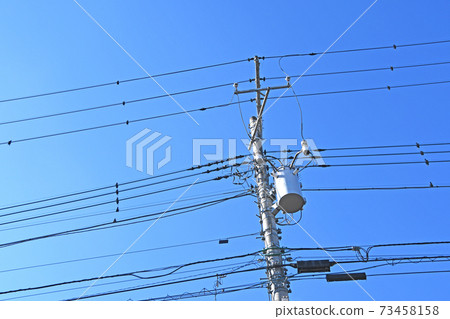 驅鳥劑平行於電線安裝 73458158