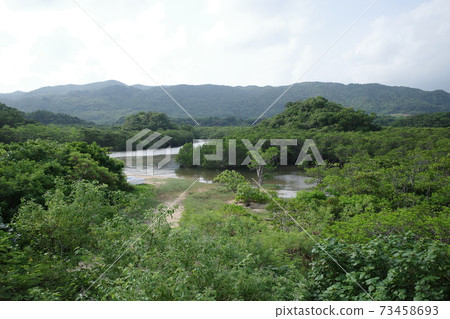 Hirugi社區在河道 Hirugi社區在河道 73458693