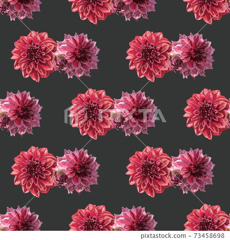 Beautiful background with hand-drawn delicate watercolor painting of red and pink dahlias. Stock drawing. Black background Beautiful background with hand-drawn delicate watercolor painting of red and pink dahlias. Stock drawing. Black background 73458698