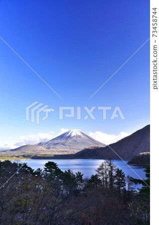 Fuji  73458744
