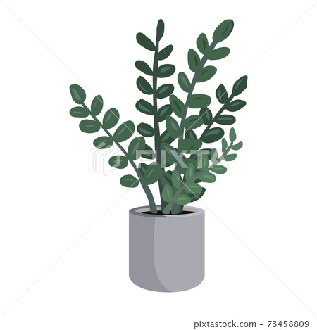Potted Zamioculcas or zz plant vector illustartion. Houseplant isolated on white background. Home decoration design element 73458809