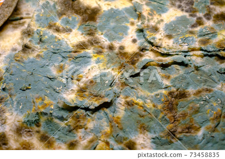 Stone covered with various mildew Stone covered with various mildew 73458835