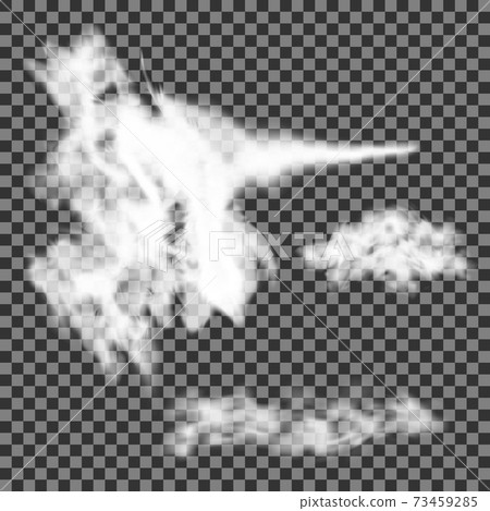 Smoke effect. Fog or steam cloud on transparent Smoke effect. Fog or steam cloud on transparent 73459285