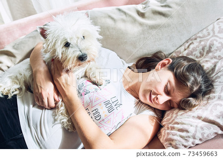 lovely west highland white terrier are lying on the sofa and hugging lovely west highland white terrier are lying on the sofa and hugging 73459663