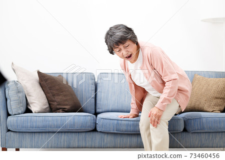 女高管關節痛 女高管關節痛 73460456