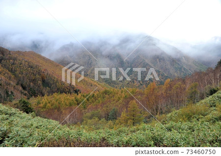 From Minamishiga Kasagatake, you can see the valley of Nanami Onsen where the ridge is covered with clouds. From Minamishiga Kasagatake, you can see the valley of Nanami Onsen where the ridge is covered with clouds. 73460750