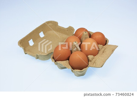 新鮮的雞蛋 73460824