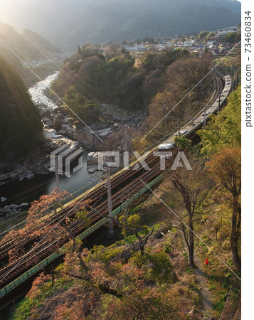 在新鮮的綠色睡眠地板上運行的火車 73460834