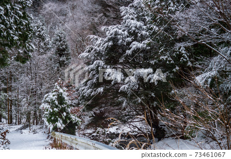 Natural winter scenery of Kamitsue Village, Oita Prefecture in winter 73461067