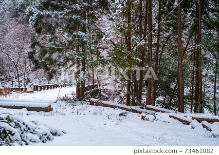 Natural winter scenery of Kamitsue Village, Oita Prefecture in winter 73461082