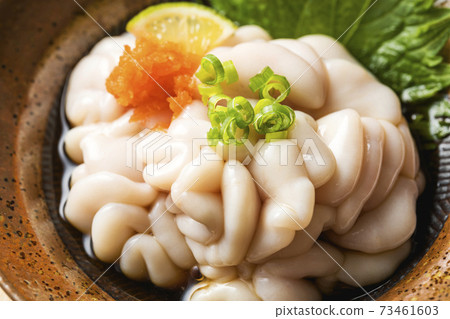 Shintachi龐醋 73461603