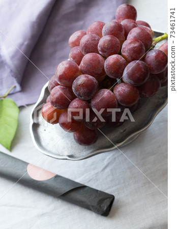 Autumn grapes Autumn grapes 73461741