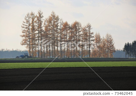 Scenery of Tokachi in Hokkaido 73462045