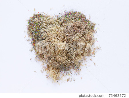 Heap of colour dust from pencils in heart-shaped on white background Heap of colour dust from pencils in heart-shaped on white background 73462372