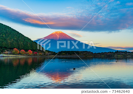 (Shizuoka Prefecture) Mt. Fuji evening view from Lake Tanuki 73462640