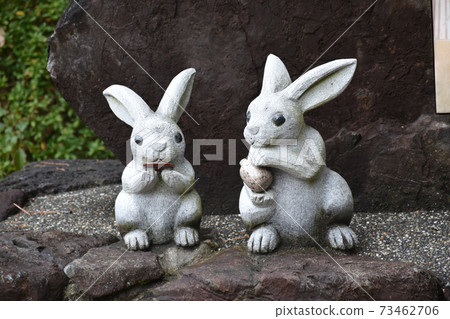 Rabbit and liquor 73462706