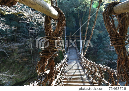 Kazura Bridge 73462726