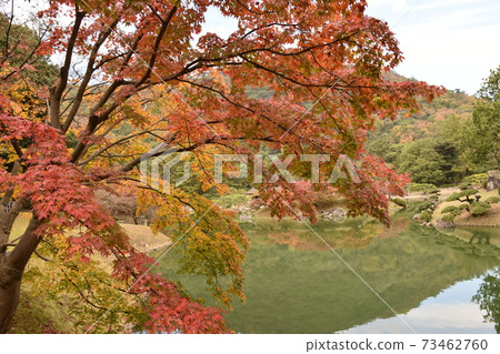 秋天美麗的葉子 秋天美麗的葉子 73462760