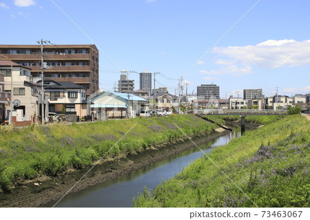 Sasame River (viewing upstream from Kozutsumi Bridge) 73463067
