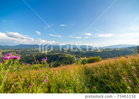 Beautiful summer landscape of village among Karpaty mountains Beautiful summer landscape of village among Karpaty mountains 73463138
