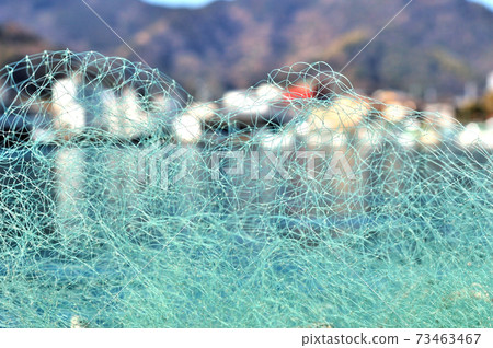 Mochimune fishing port Shirasu fishing net Mochimune fishing port Shirasu fishing net 73463467
