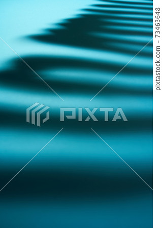 Beautiful monstera leaves shadow colored 73463648