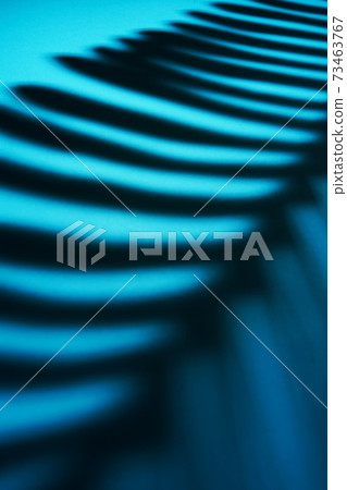 Beautiful monstera leaves shadow colored 73463767