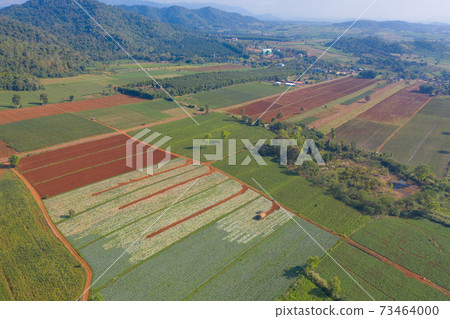 Aerial top view of fresh grass, rice and crops field with green mountain hill in agriculture concept. Nature landscape background in Thailand. harvest Aerial top view of fresh grass, rice and crops field with green mountain hill in agriculture concept. Nature landscape background in Thailand. harvest 73464000