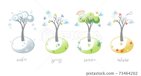 Vector illustration of tree in four seasons 73464202