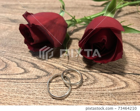 紅玫瑰和結婚戒指放在木桌，婚姻，訂婚，婚姻活動圖像 73464210