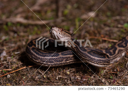 輪轂看著周圍 73465290