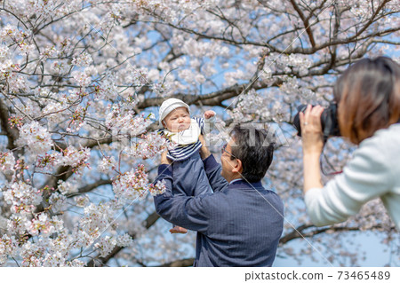 Hanami baby and grandfather 73465489