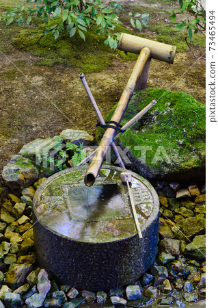 Tsukubai in Kyoto's Ryoanji Temple 73465494