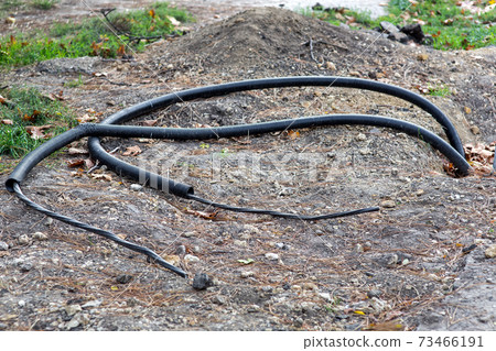 Cable in a protective PVC pipe buried under the ground, communications to connect electricity. 73466191