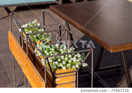 Designer flowerpot made of iron tubular frame with green flowers and white blossoms at the wooden table of an outdoor cafe, close up nobody. 73467116