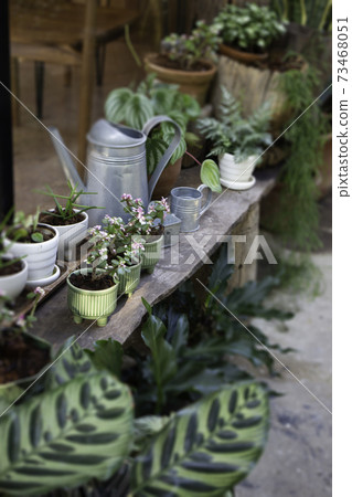 Beautiful summer green garden minimal style Beautiful summer green garden minimal style 73468051