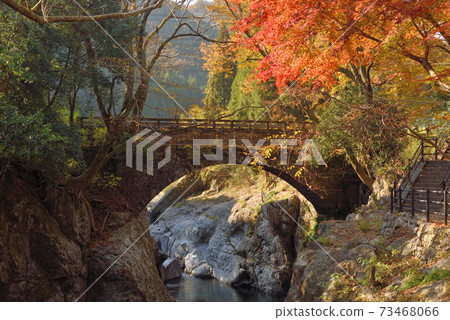 Marinkyo and Nembutsu Bridge in Autumn 73468066