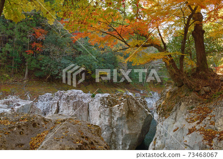 秋天的猿人戰報京 73468067