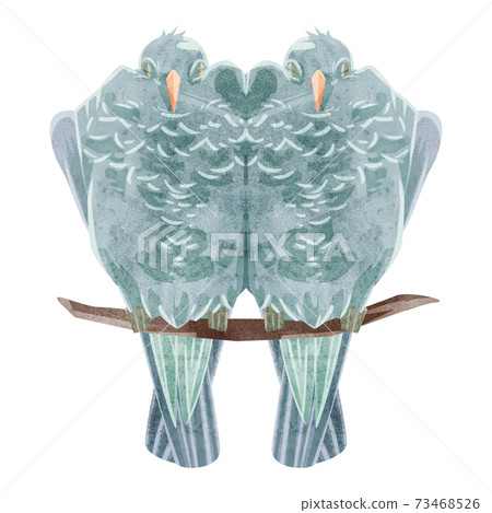 Handwritten watercolor style illustration of a pair of pigeons 73468526