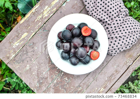 Close-up of ripe plums 73468834