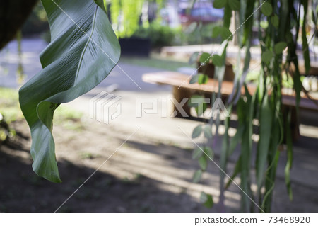 Beautiful summer green garden minimal style Beautiful summer green garden minimal style 73468920