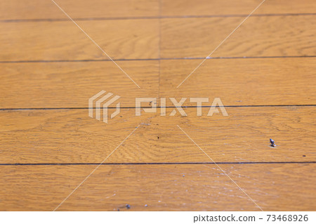 地板蠟的應用維修 地板蠟的應用維修 73468926